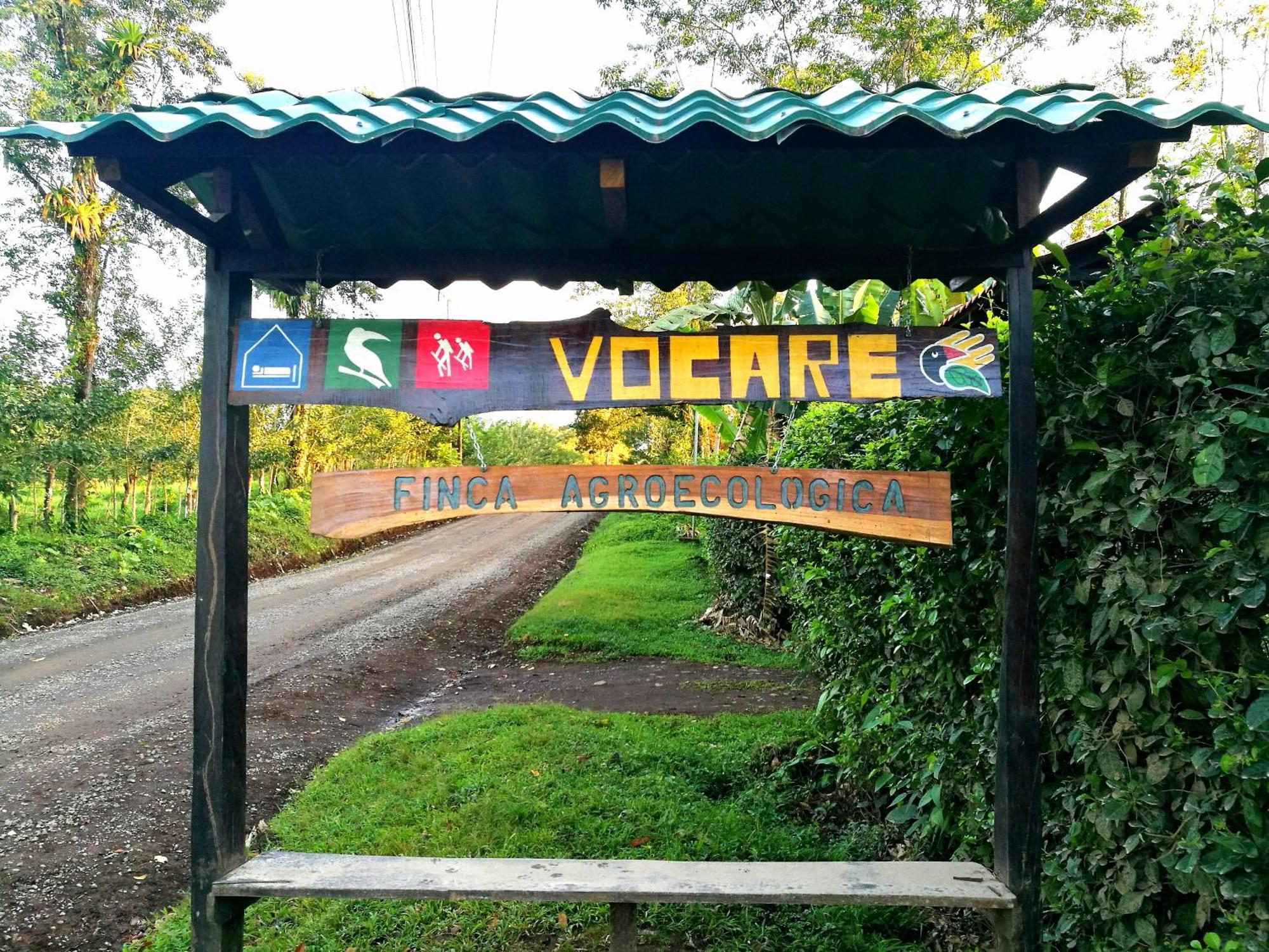 Vocare Finca Agroecologica Upala Eksteriør bilde